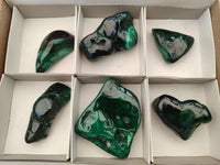 Polished Flower Banded Malachite Free Forms x 6 From Congo