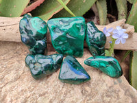 Polished Flower Banded Malachite Free Forms x 6 From Congo