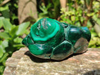 Polished Flower Banded Malachite Free Forms x 6 From Congo
