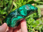 Polished Flower Banded Malachite Free Forms x 6 From Congo