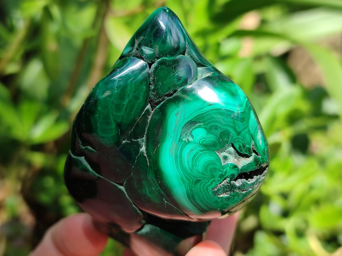 Polished Flower Banded Malachite Free Forms x 6 From Congo