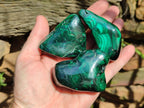 Polished Flower Banded Malachite Free Forms x 6 From Congo