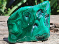 Polished Flower Banded Malachite Free Forms x 6 From Congo