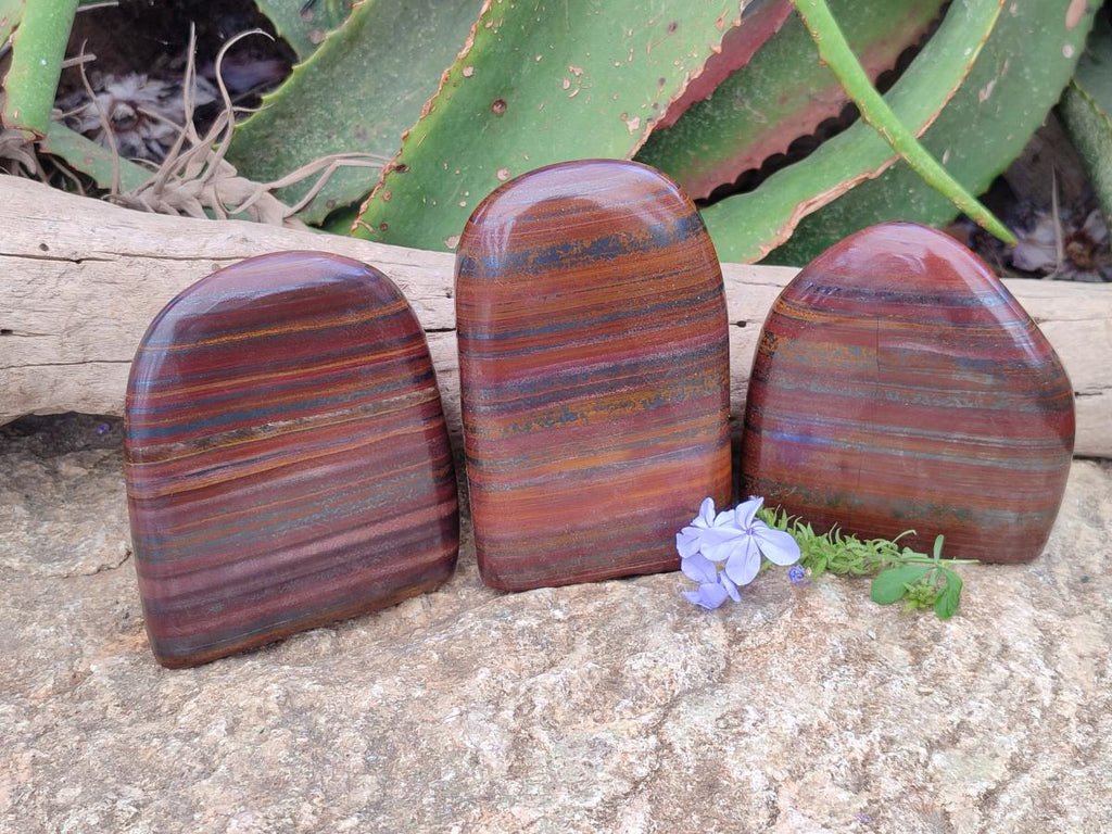 Polished Banded Tiger Iron Standing Free Forms x 3 From South Africa