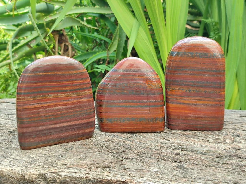 Polished Banded Tiger Iron Standing Free Forms x 3 From South Africa