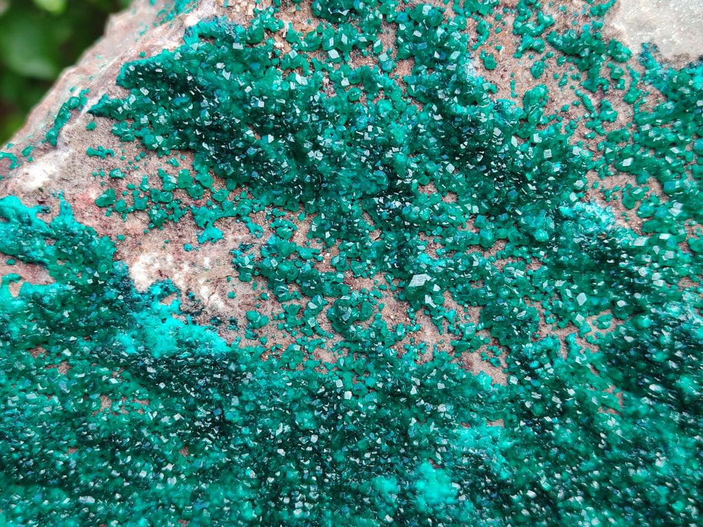 Natural XL Dioptase On Dolomite Specimen x 1 From Tantara Mine, Congo