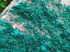 Natural XL Dioptase On Dolomite Specimen x 1 From Tantara Mine, Congo