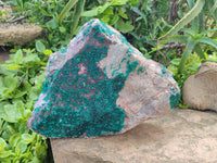 Natural XL Dioptase On Dolomite Specimen x 1 From Tantara Mine, Congo