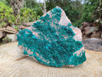 Natural XL Dioptase On Dolomite Specimen x 1 From Tantara Mine, Congo