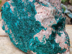 Natural XL Dioptase On Dolomite Specimen x 1 From Tantara Mine, Congo