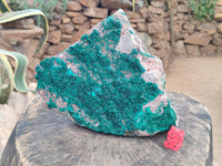 Natural XL Dioptase On Dolomite Specimen x 1 From Tantara Mine, Congo