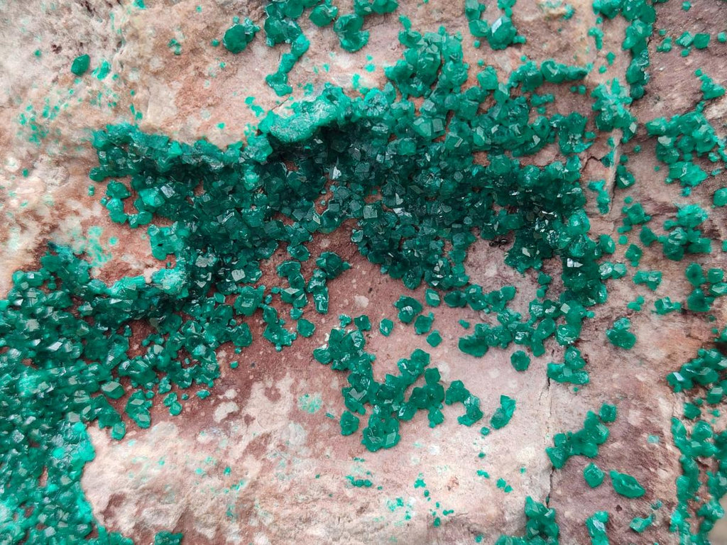 Natural XL Dioptase On Dolomite Specimen x 1 From Tantara Mine, Congo