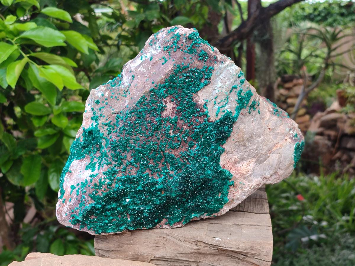 Natural XL Dioptase On Dolomite Specimen x 1 From Tantara Mine, Congo