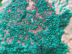 Natural XL Dioptase On Dolomite Specimen x 1 From Tantara Mine, Congo