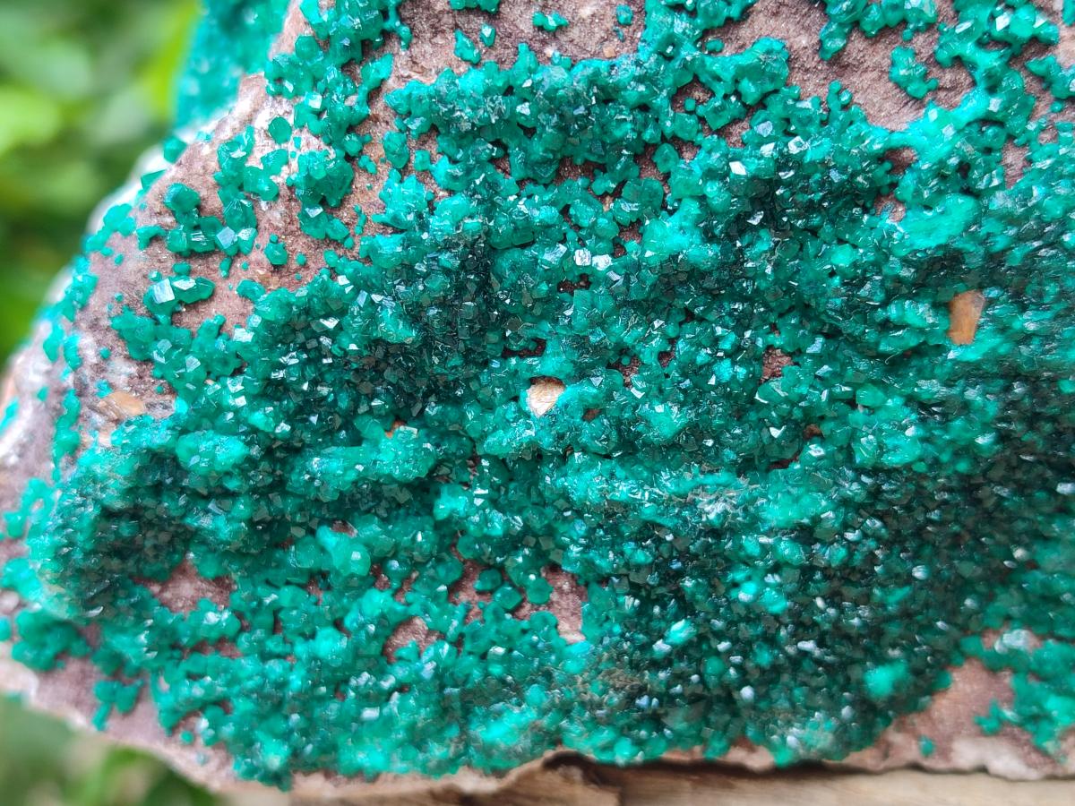 Natural XL Dioptase On Dolomite Specimen x 1 From Tantara Mine, Congo
