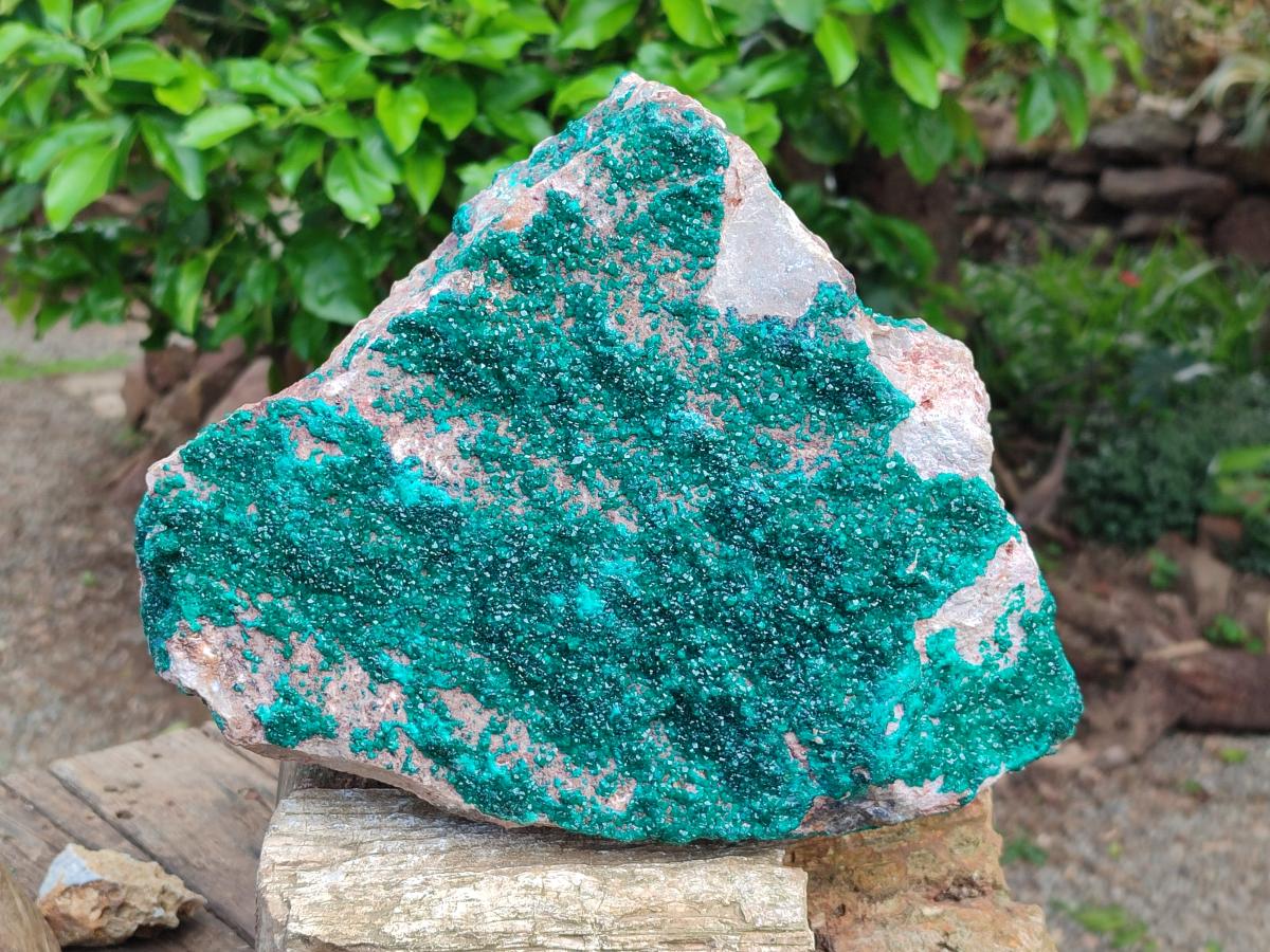 Natural XL Dioptase On Dolomite Specimen x 1 From Tantara Mine, Congo