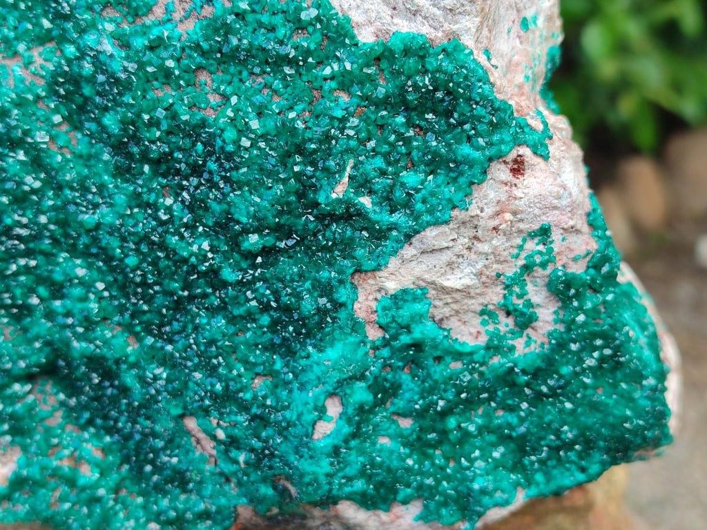 Natural XL Dioptase On Dolomite Specimen x 1 From Tantara Mine, Congo