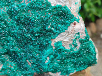Natural XL Dioptase On Dolomite Specimen x 1 From Tantara Mine, Congo