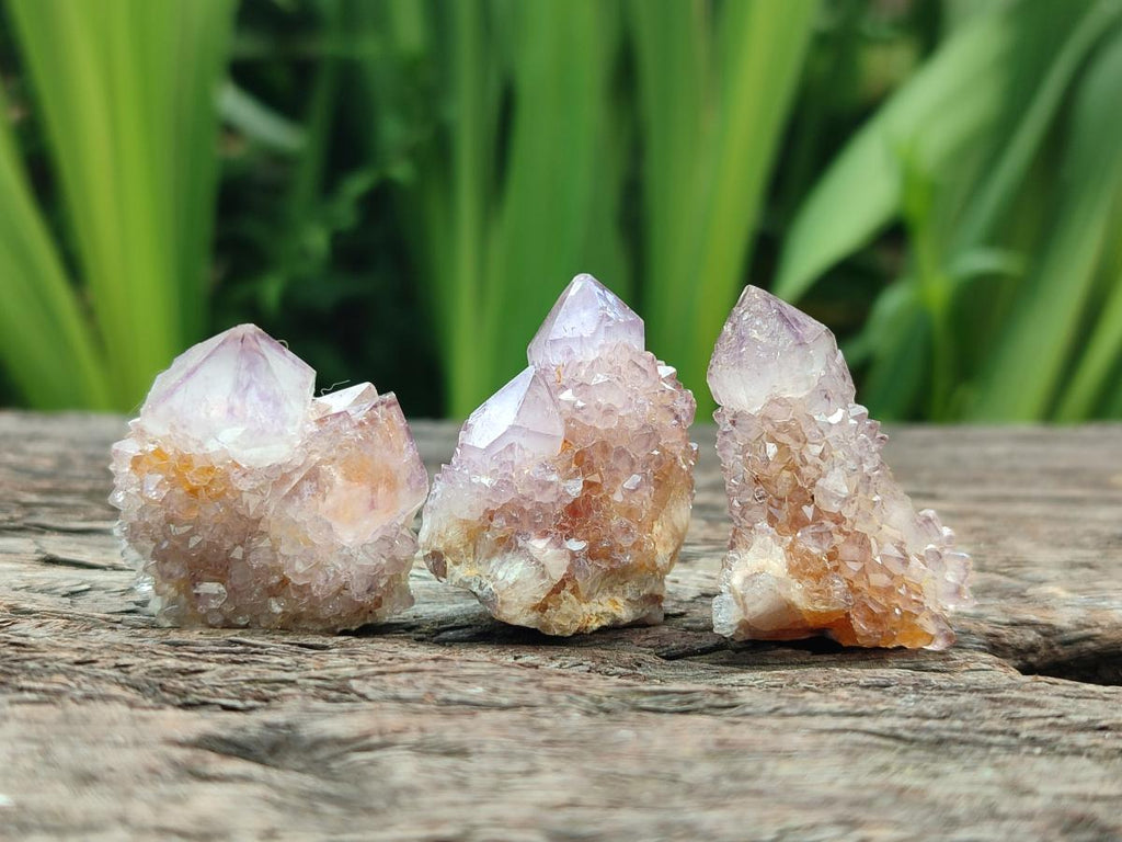 Natural Sunburst Amethyst Spirit Crystals x 70 From Boekenhouthoek, South Africa