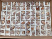 Natural Sunburst Amethyst Spirit Crystals x 70 From Boekenhouthoek, South Africa