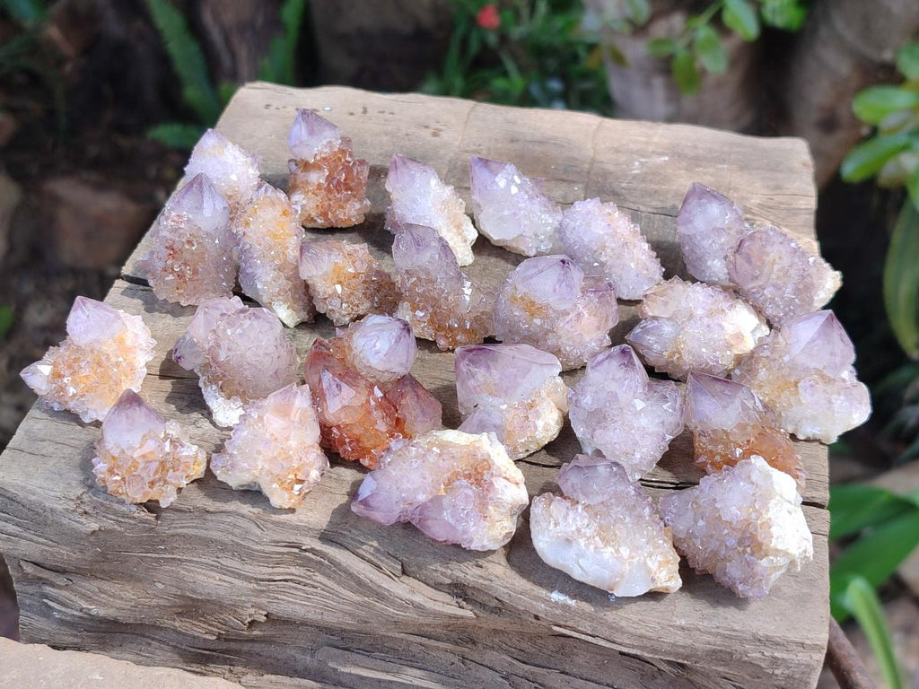 Natural Sunburst Amethyst Spirit Crystals x 70 From Boekenhouthoek, South Africa