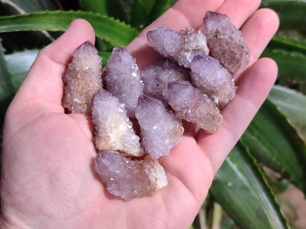 Natural Sunburst Amethyst Spirit Crystals x 70 From Boekenhouthoek, South Africa
