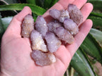 Natural Sunburst Amethyst Spirit Crystals x 70 From Boekenhouthoek, South Africa