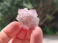 Natural Sunburst Amethyst Spirit Crystals x 70 From Boekenhouthoek, South Africa