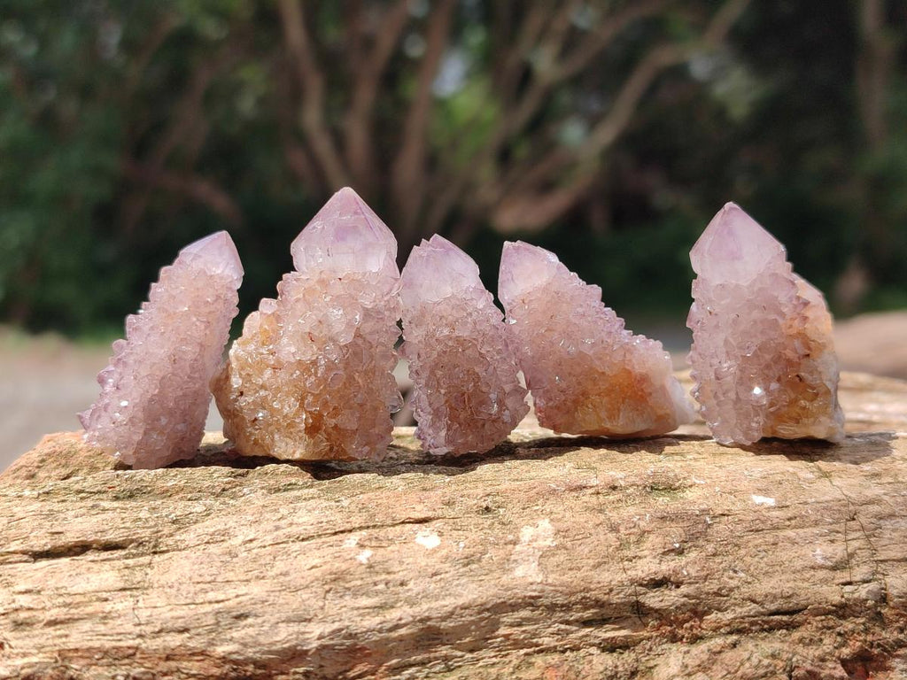 Natural Sunburst Amethyst Spirit Crystals x 70 From Boekenhouthoek, South Africa