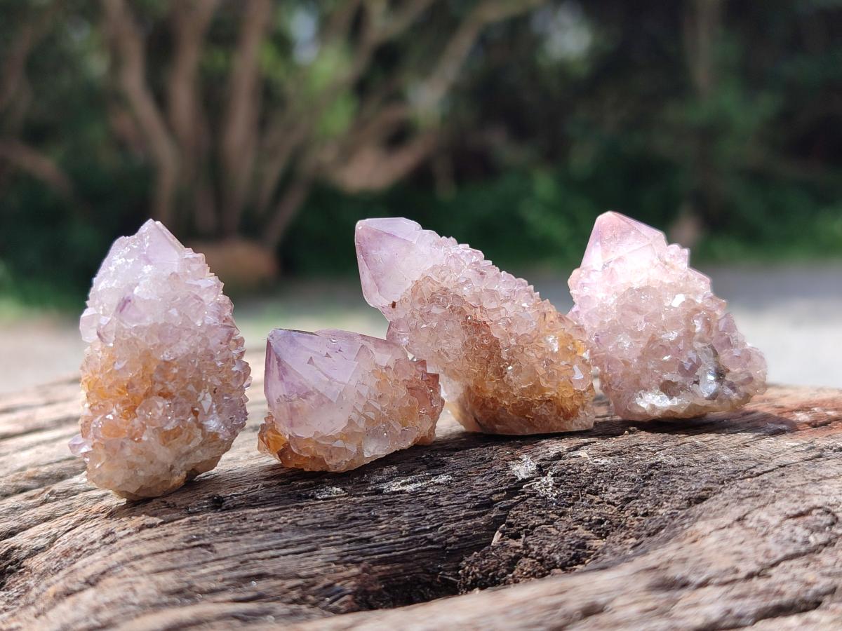 Natural Sunburst Amethyst Spirit Crystals x 70 From Boekenhouthoek, South Africa
