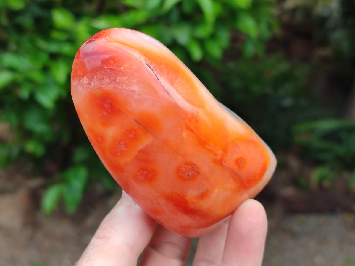 Polished Carnelian Agate Gemstone Standing Free Forms x 2 From Madagascar