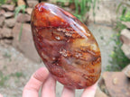 Polished Carnelian Agate Gemstone Standing Free Forms x 2 From Madagascar