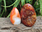 Polished Carnelian Agate Gemstone Standing Free Forms x 2 From Madagascar