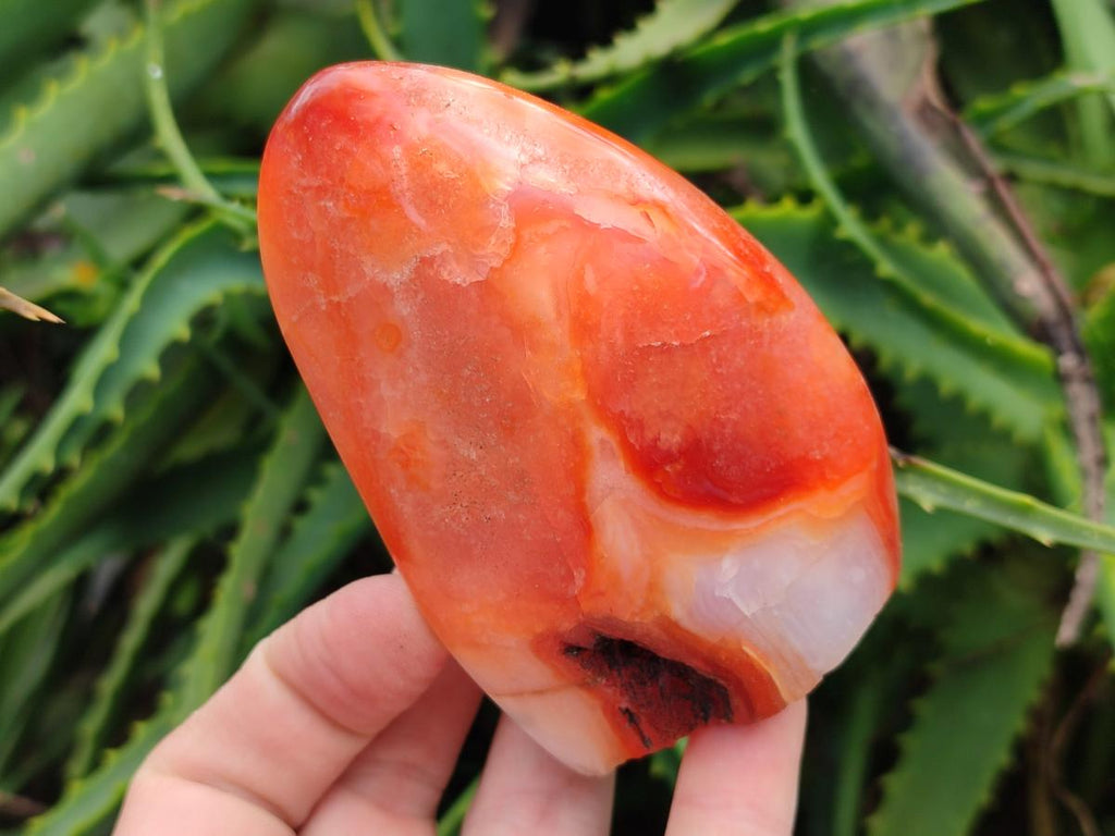 Polished Carnelian Agate Gemstone Standing Free Forms x 2 From Madagascar