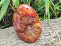 Polished Carnelian Agate Gemstone Standing Free Forms x 2 From Madagascar
