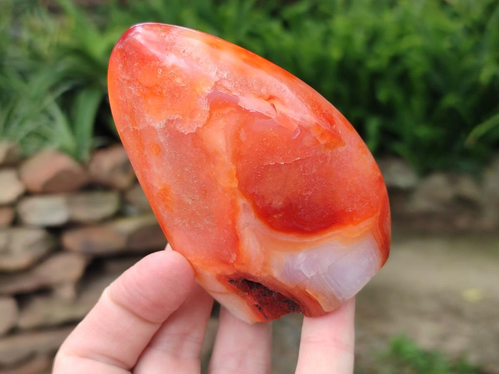Polished Carnelian Agate Gemstone Standing Free Forms x 2 From Madagascar