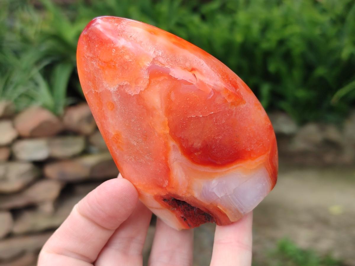 Polished Carnelian Agate Gemstone Standing Free Forms x 2 From Madagascar