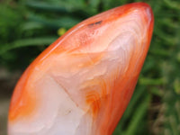Polished Carnelian Agate Gemstone Standing Free Forms x 2 From Madagascar