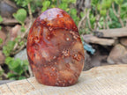 Polished Carnelian Agate Gemstone Standing Free Forms x 2 From Madagascar