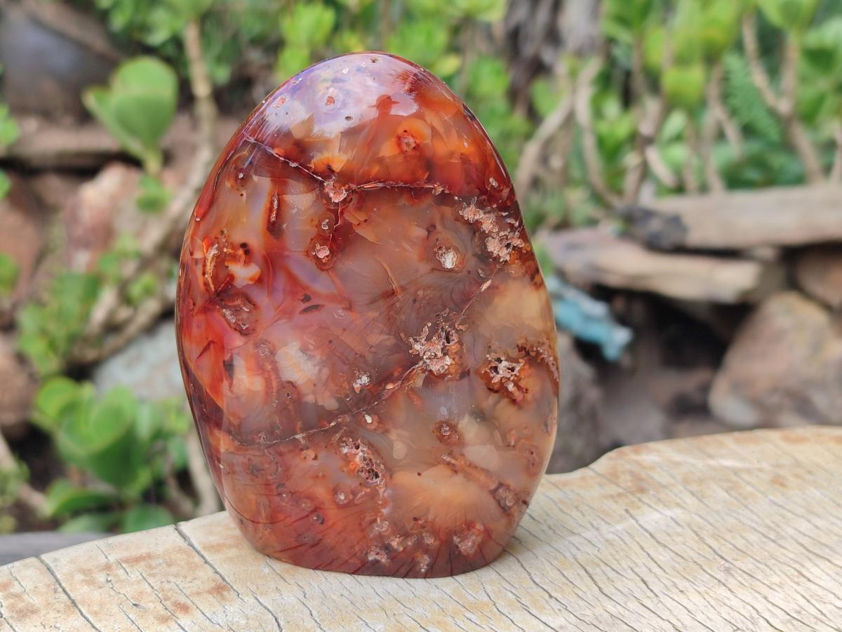 Polished Carnelian Agate Gemstone Standing Free Forms x 2 From Madagascar