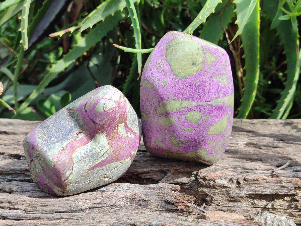 Polished Stichtite Standing Free Forms x 2 From Barberton, South Africa
