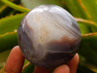 Polished Red Shashe River Banded Agate Spheres x 4 From Shashe River, Zimbabwe