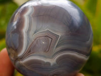 Polished Red Shashe River Banded Agate Spheres x 4 From Shashe River, Zimbabwe