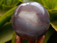 Polished Red Shashe River Banded Agate Spheres x 4 From Shashe River, Zimbabwe
