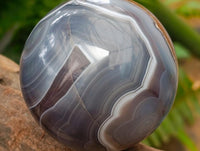 Polished Red Shashe River Banded Agate Spheres x 4 From Shashe River, Zimbabwe