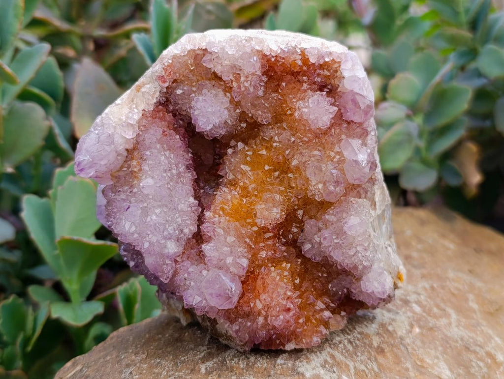 Natural Amethyst and Ametrine Spirit Quartz Clusters x 3 From Boekenhouthoek, South Africa