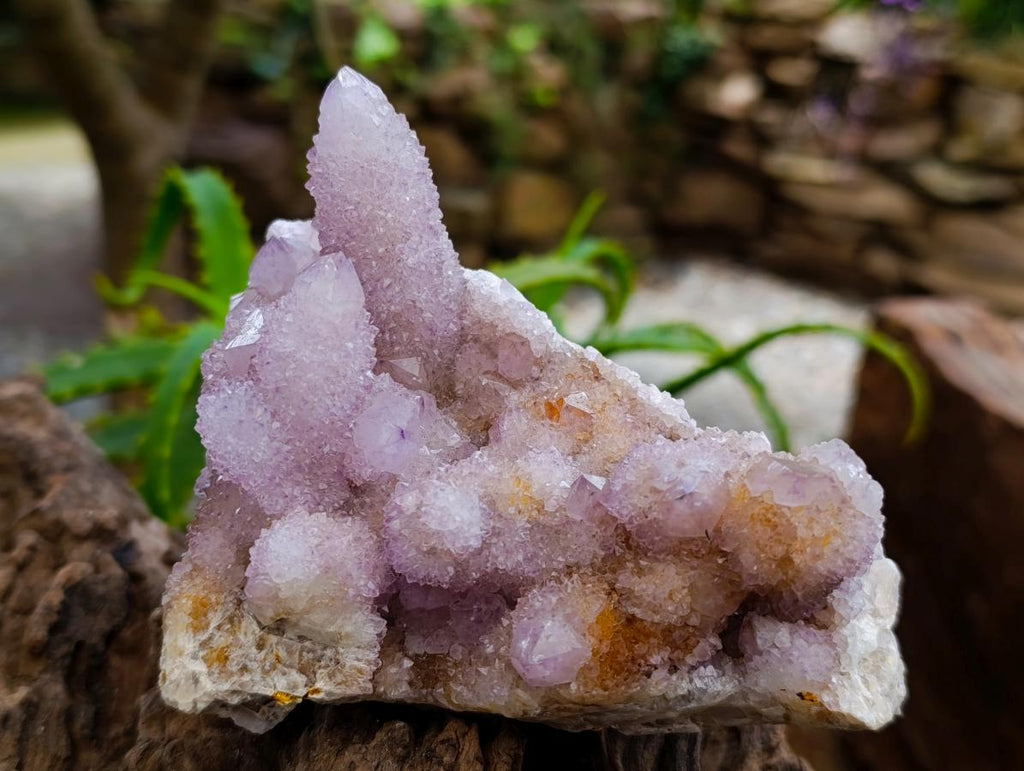 Natural Amethyst and Ametrine Spirit Quartz Clusters x 3 From Boekenhouthoek, South Africa