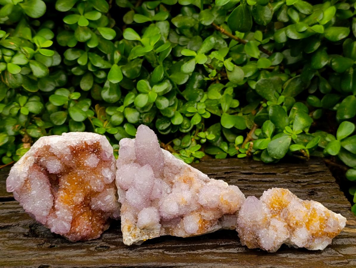 Natural Amethyst and Ametrine Spirit Quartz Clusters x 3 From Boekenhouthoek, South Africa