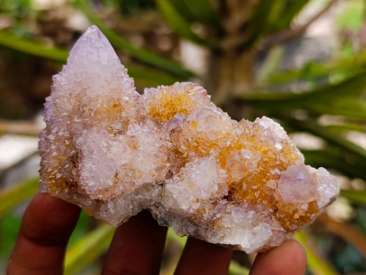 Natural Amethyst and Ametrine Spirit Quartz Clusters x 3 From Boekenhouthoek, South Africa