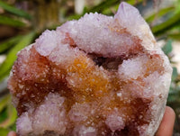 Natural Amethyst and Ametrine Spirit Quartz Clusters x 3 From Boekenhouthoek, South Africa